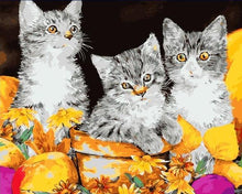 Load image into Gallery viewer, Three Kittens - PBN