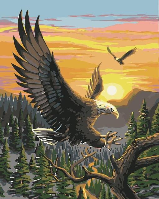 Eagles Painting by Numbers Kit - Flying Eagles