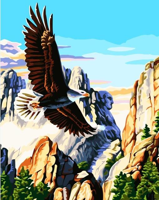 Flying Eagle Paint by Numbers - Eagle in the Rocky Mountains