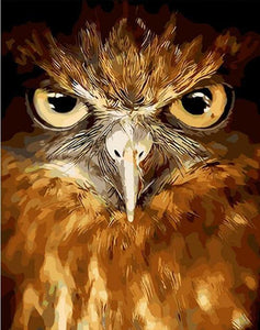 Staring Eagle - Paint by Numbers
