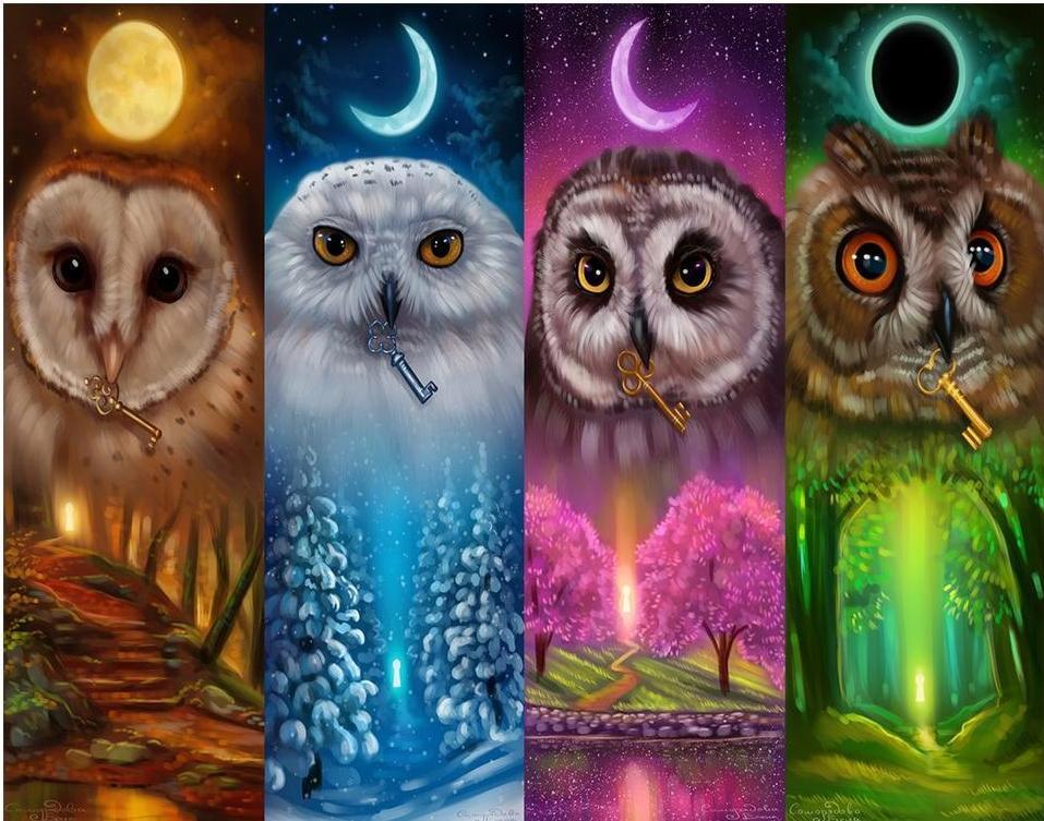 Night Owls Diamond Painting