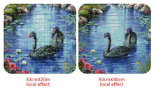 Load image into Gallery viewer, Flowers and a Beautiful Pond Paint by Diamonds