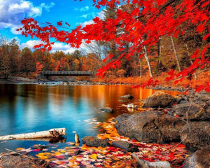 lake paint by numbers