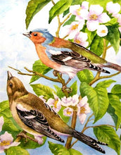 Load image into Gallery viewer, birds diamond painting