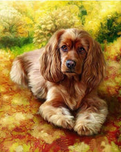 Load image into Gallery viewer, dog paint by numbers