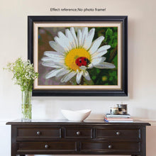 Load image into Gallery viewer, Ladybird on Flower Painting with Diamonds