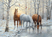 Load image into Gallery viewer, Wild Beautiful Horses