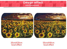 Load image into Gallery viewer, Sunflower Field