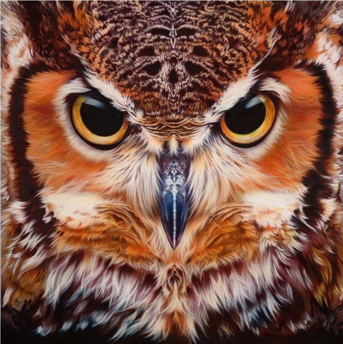 owl furious art