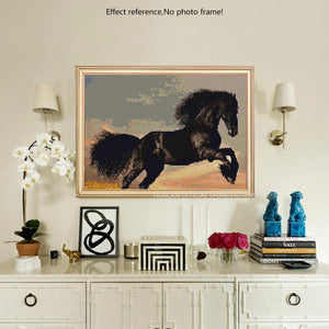 Black Horse Painting - DIY Painting Kit for Adults