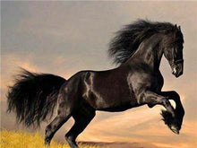 Load image into Gallery viewer, Black Horse Painting