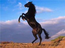 Load image into Gallery viewer, Black Horse painting