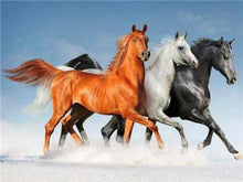 Load image into Gallery viewer, Stunning Photo or Running Horses in White brown and Black Colors