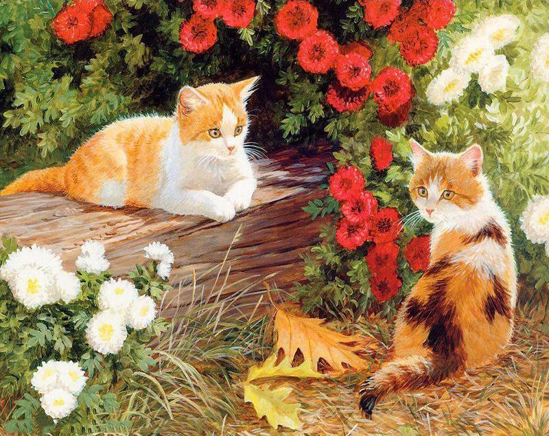 cat and flower paint by numbers