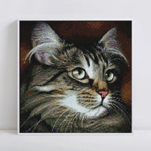 Load image into Gallery viewer, Cat 5D Diamond Painting Kit