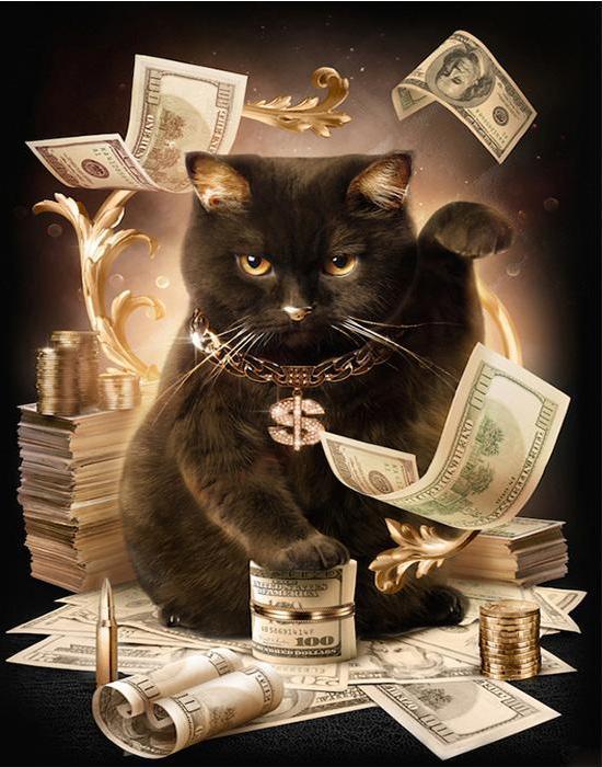 Rich Black Cat Boss - Painting by Numbers for Adults