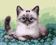 Load image into Gallery viewer, Very Cute Little Kitten - Paint it Yourself