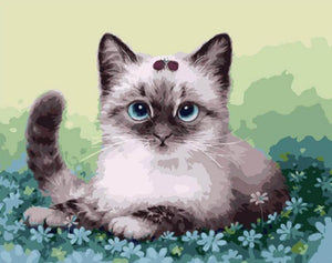 Very Cute Little Kitten - Paint it Yourself