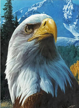 Load image into Gallery viewer, american eagle diamond painting