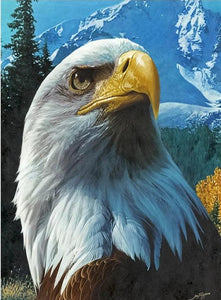 american eagle diamond painting