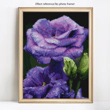 Load image into Gallery viewer, Flowers Painting Kits