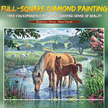 Load image into Gallery viewer, Beautiful Scenery DIY Adult Painting Kit