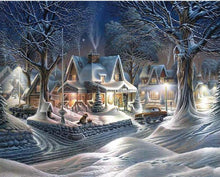 Load image into Gallery viewer, winter paint by diamonds kit