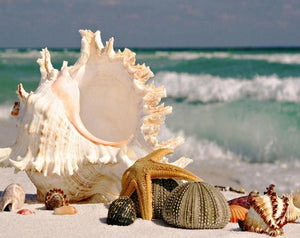 beach diamond painting