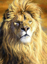 Load image into Gallery viewer, Huge African Lions Collection