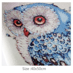 Stunning Colorful Owl Diamond Painting Kit