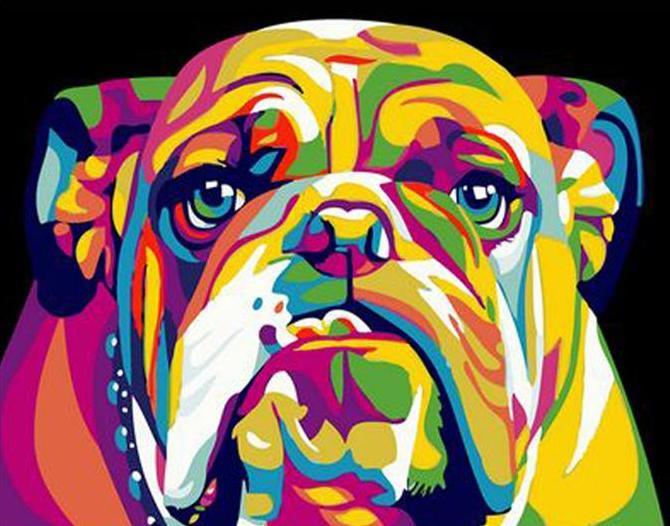 Colorful Rottweiler Dog Painting - Paint by Numbers