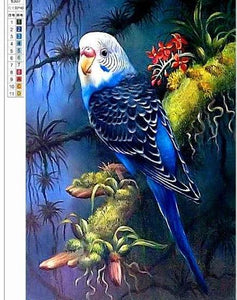 Blue Australian Parrot