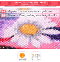 Load image into Gallery viewer, Roses Diamond Painting