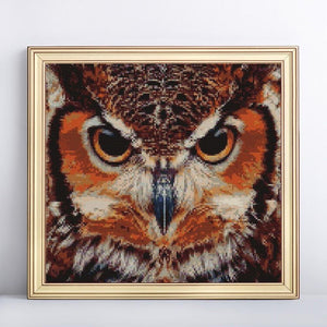 Furious Owl Diamond Painting