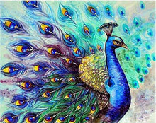 Load image into Gallery viewer, Peacock Drawing Painting - Paint by Numbers