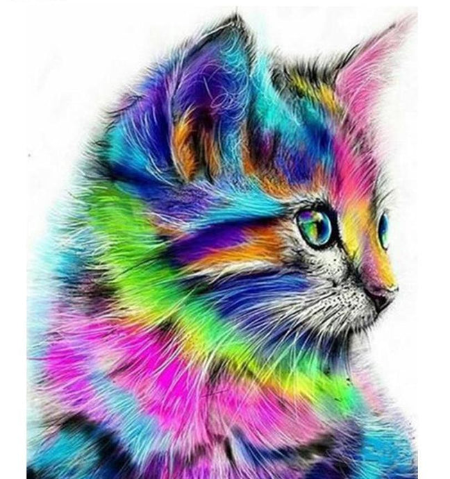 Cute Colorful Cat