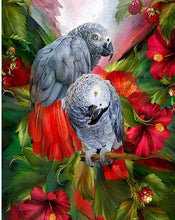 Load image into Gallery viewer, parrots diamond painting