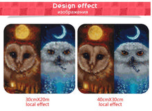 Load image into Gallery viewer, Night Owls Diamond Painting