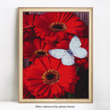 Load image into Gallery viewer, Butterfly on Flowers