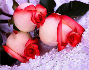 Beauty of Rose Buds - Diamond Art Kit