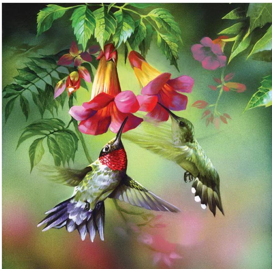 Hummingbird Paint with Diamonds