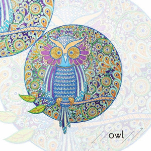 Owl - Diamond by Numbers Kit