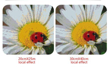 Load image into Gallery viewer, Ladybird on Flower Painting with Diamonds