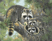 Load image into Gallery viewer, raccoon paint by numbers