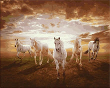 Load image into Gallery viewer, White horses painting my numbers
