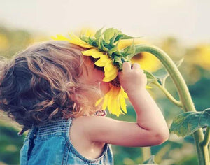 toddler sunflower painting