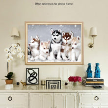 Load image into Gallery viewer, Cute Huskies