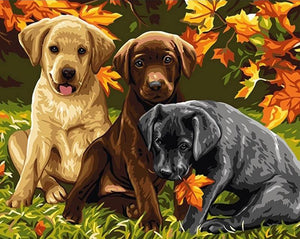 puppy painting kits
