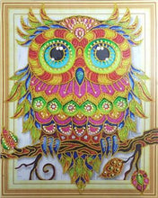 Load image into Gallery viewer, Special Owl Diamond Art Kit