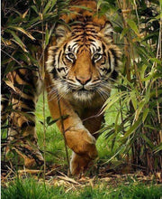 Load image into Gallery viewer, tiger diamond painting